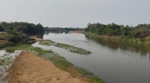 nadi