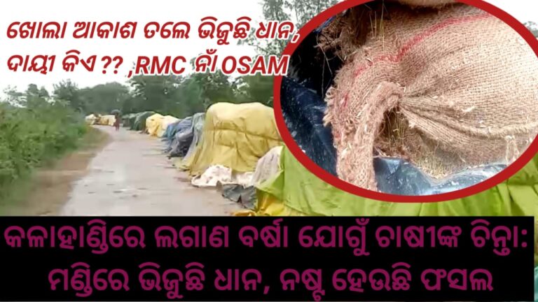 WhatsApp Image 2025-06-19 at 15.29.01_c54b039b