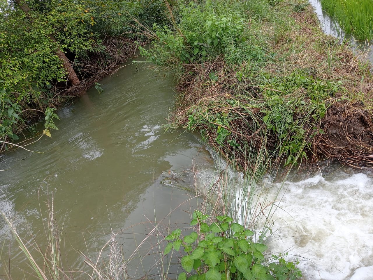 IMG-20250928-WA0191